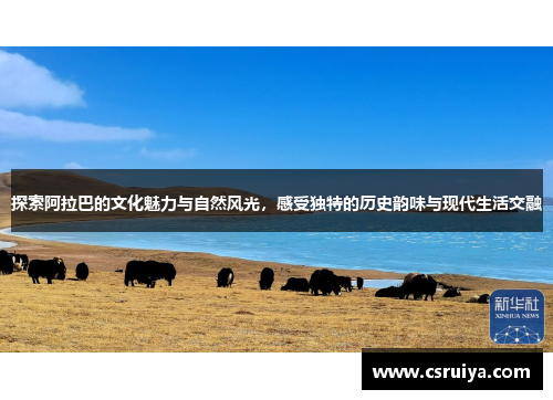 探索阿拉巴的文化魅力与自然风光，感受独特的历史韵味与现代生活交融