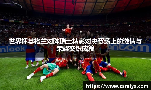 3377体育官网入口