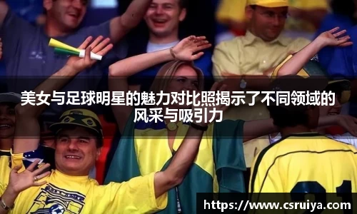 3377体育官网入口