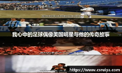 3377体育官网入口