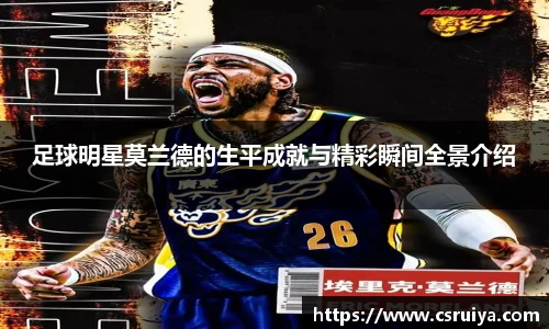 3377体育官网入口