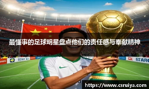 3377体育官网入口