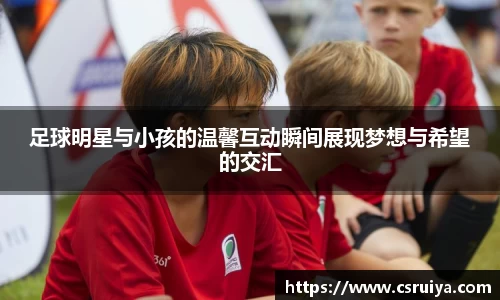 3377体育官网入口