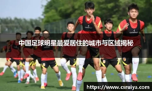 3377体育官网入口