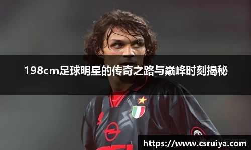 3377体育官网入口